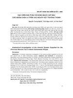 Đặc điểm giải phẫu hệ động mạch cấp máu cho ngón chân I-II trên xác người việt trưởng thành