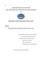 MÔN dẫn NHẬP TRIẾT học PHẬT GIÁO đề tài THÁNH NHÂN TRONG KINH TẠNG PALI 