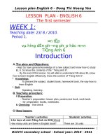 Lesson plan english 6 