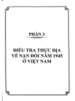 Những chứng tích lịch sử của nạn đói năm Ất Dậu 1945 ở Việt Nam: Phần 2