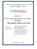 BÁO CÁO BÀI TẬP LỚN HỌC PHẦN HỆ THỐNG VIỄN THÔNG  ĐỀ TÀI HỆ THỐNG THÔNG TIN VIBA