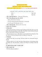 Giáo án hoạt động trải nghiệm lớp 3, sách chân trời sáng tạo, soạn chuẩn cv 2345 (kì 1)