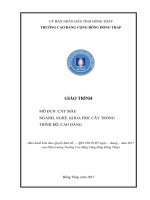 Giáo trình Cây màu (Nghề: Khoa học cây trồng - Cao đẳng): Phần 1 - Trường Cao đẳng Cộng đồng Đồng Tháp