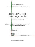 Tác động của đại dịch COVID 19 đến ngành du lịch việt nam