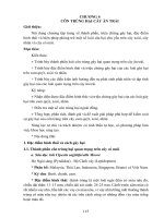 Giáo trình Côn trùng nông nghiệp (Nghề: Khoa học cây trồng - Cao đẳng): Phần 2 - Trường Cao đẳng Cộng đồng Đồng Tháp