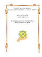 TIỂU LUẬN môn TRIẾT học PHẬT GIÁO đề tài PHẬT GIÁO và vấn đề hòa BÌNH 