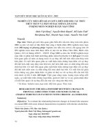 Nghiên cứu mối liên quan giữa biến đối đổi cấu trúc thùy trán và một số đặc điểm lâm sàng ở bệnh nhân nghiện rượu mạn tính