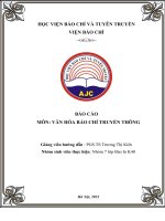 BÁO cáo môn văn hóa báo CHÍ TRUYỀN THÔNG NGHIÊN cứu về văn hóa báo CHÍ 