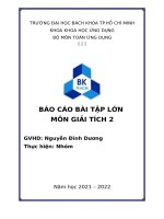 BÁO CÁO BÀI TẬP LỚN MÔN GIẢI TÍCH 2