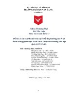 Tiểu luận : Cán cân thanh toán quốc tế đa phương của Việt Nam trong giai đoạn 20192021 và sự ảnh hưởng của đại dịch COVID19.