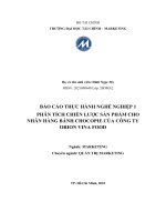 BÁO CÁO THỰC HÀNH NGHỀ NGHIỆP 1 PHÂN TÍCH CHIẾN LƯỢC SẢN PHẨM CHO NHÃN HÀNG BÁNH CHOCOPIE CỦA CÔNG TY ORION VINA FOOD