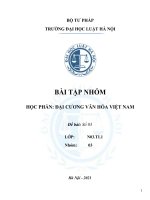 BÀI tập NHÓM học PHẦN đại CƯƠNG văn hóa VIỆT NAM kết quả của văn hóa việt nam giao lưu với văn hóa bên ngoà 