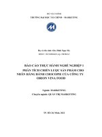 BÁO cáo THỰC HÀNH NGHỀ NGHIỆP 1 PHÂN TÍCH CHIẾN lược sản PHẨM CHO NHÃN HÀNG BÁNH CHOCOPIE của CÔNG TY ORION VINA FOOD 