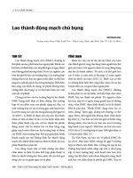 Lao thành động mạch chủ bụng