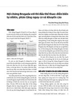Hội chứng Brugada với thi đấu thể thao: Diễn biến tự nhiên, phân tầng nguy cơ và khuyến cáo