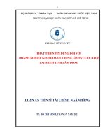 Phát triển tín dụng đối với doanh nghiệp kinh doanh trong lĩnh vực du lịch tại NHTM tỉnh lâm đồng 