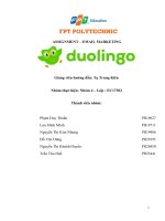 XÂY DỰNG kế HOẠCH EMAIL MARKETING CHO DOANH NGHIỆP duolingo 