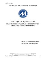 TIỂU LUẬN TIN học đại CƯƠNG PHÂN TÍCH cơ sở lý LUẬN về CHIẾN lược CHIÊU THỊ TRONG MARKETING 