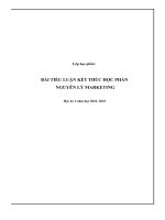 BÀI TIỂU LUẬN kết THÚC học PHẦN NGUYÊN lý MARKETING công ty TH true milk 