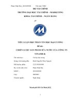 TIỂU LUẬN học PHẦN TIN học đại CƯƠNG đề tài CHIẾN lược sản PHẨM sữa nước của CÔNG TY VINAMILK 