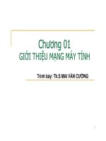 BÀI GIẢNG   mạng máy tính 2 (mai văn cường  võ tâm vân)