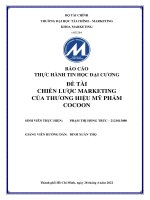 đề tài chiến lược marketing của thương hiệu mỹ phẩm cocoon 