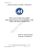 TIỂU LUẬN TIN học đại CƯƠNG PHÂN TÍCH cơ sở lý LUẬN về CHIẾN lược CHIÊU THỊ TRONG MARKETING 