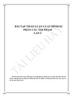 BÀI THẢO LUẬN HÌNH SỰ PHẦN TỘI PHẠM LẦN 5