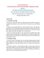 Giáo án mĩ thuật 7 sách kết nối tri thức với cuộc sống (trọn bộ cả năm)