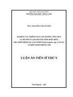 NGHIÊN cứu NHIỄM GIUN, sán ĐƯỜNG TIÊU hóa và hô hấp ở lợn bản địa TỈNH điện BIÊN, đặc điểm BỆNH DO GIUN PHỔI metastrongylus spp  gây RA và BIỆN PHÁP PHÒNG TRỊ 