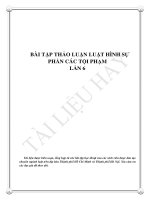 BÀI THẢO LUẬN HÌNH SỰ PHẦN TỘI PHẠM LẦN 6
