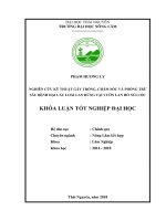 Nghiên cứu kỹ thuật gây trồng, chăm sóc và phòng trừ sâu bệnh hại các loại lan rừng hài lông (paphiopedilum hirsutissimum), hoàng thảo hoa vàng (dendrobium chrysanthum), tục đoạ 