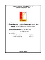TIỂU LUẬN học PHẦN CÔNG NGHỆ CHẤT dẻo đề tài tìm hiểu về phương pháp rotational molding 