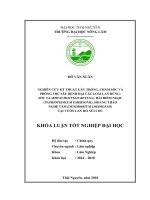 Nghiên cứu kỹ thuật gây trồng, chăm sóc và phòng trừ sâu bệnh hại các loài lan rừng sóc ta (rhynchostylis retusa), hài điểm ngọc (paphiopedilum emersonii), hoàng thảo nghệ tâm ( 