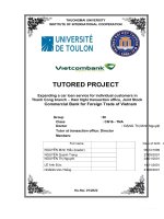 Thảo luận nhóm TMU expanding a car loan service for individual customers in thanh cong branch ham nghi transaction office, joi – nt stock commercial bank for foreign trade of vietnam 