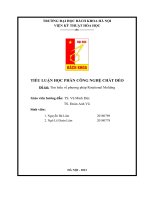 TIỂU LUẬN học PHẦN CÔNG NGHỆ CHẤT dẻo đề tài tìm hiểu về phương pháp rotational molding 