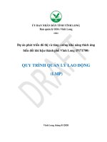 Dự án phát triển đô thị và tăng cường khả năng thích ứng biến đổi khí hậu thành phố Vĩnh Long (P171700) QUY TRÌNH QUẢN LÝ LAO ĐỘNG  (LMP)