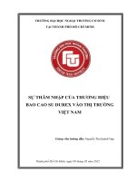 SỰ THÂM NHẬP của THƯƠNG HIỆU BAO CAO SU DUREX vào THỊ TRƯỜNG VIỆT NAM 