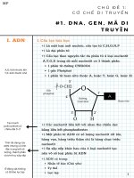 Sinh học 12   chủ đề 1 cơ chế di truyền