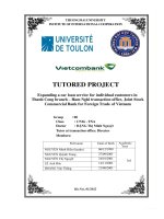 Thảo luận nhóm TMU expanding a car loan service for individual customers in thanh cong branch ham nghi transaction office, joi – nt stock commercial bank for foreign trade of vietnam 