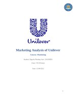 Thảo luận nhóm TMU marketing analysis of unilever 