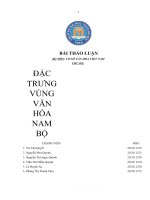 Thảo luận nhóm TMU bộ môn cơ sở văn hóa VIỆT NAM CHỦ đề đặc TRƯNG VÙNG văn hóa NAM bộ 