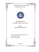 Thảo luận nhóm TMU THẢO LUẬN học PHẦN PHÁP LUẬT đại CƯƠNG đề tài HÌNH PHẠT, THỪA kế 