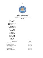 Thảo luận nhóm TMU bộ môn cơ sở văn hóa VIỆT NAM CHỦ đề đặc TRƯNG VÙNG văn hóa NAM bộ 