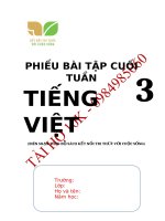 PHIẾU bài tập CUỐI TUẦN môn TIẾNG VIỆT lớp 3 kết nối TRI THỨC t