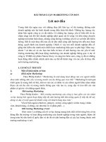 Thảo luận nhóm TMU ảnh hưởng của các yếu tố môi trường marketing đến hoạt động marketing của doanh nghiệp thông qua ví dụ về công ty TNHH mỹ phẩm nature story 