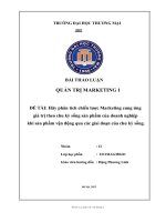 Thảo luận nhóm TMU hãy phân tích chiến lược marketing cung ứng giá trị theo chu kỳ sống sản phẩm của doanh nghiệp khi sản phẩm vận động qua các giai đoạn của chu kỳ sống 