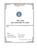 Thảo luận nhóm TMU TIỂU LUẬN học PHẦN KINH tế VI mô i chủ đề phân tích cung, cầu lao động ngành giày da ở việt nam 