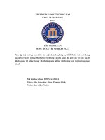 Xác lập thị trường mục tiêu của một doanh nghiệp cụ thể phân tích nội dung quản trị truyền thông marketing tích hợp và mối quan hệ giữa nó với các quyết định quản trị khác trong marketing mix 