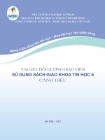 TÀI LIỆU BỒI DƯỠNG GIÁO VIÊN SỬ DỤNG SÁCH GIÁO KHOA TIN HỌC CÁNH DIỀU
